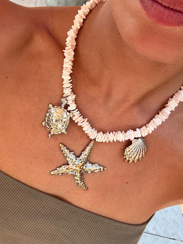 Collier Sunny Coast